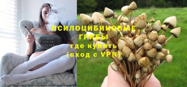 хмурый Зерноград