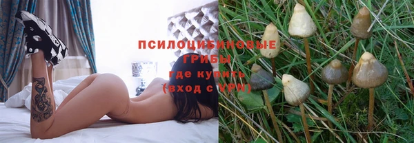 дмт Зеленокумск