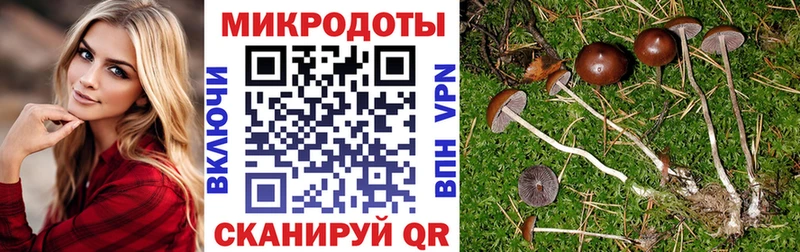 Галлюциногенные грибы Magic Shrooms Дюртюли